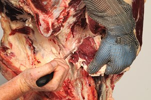 Meat Cut Spec Step 7